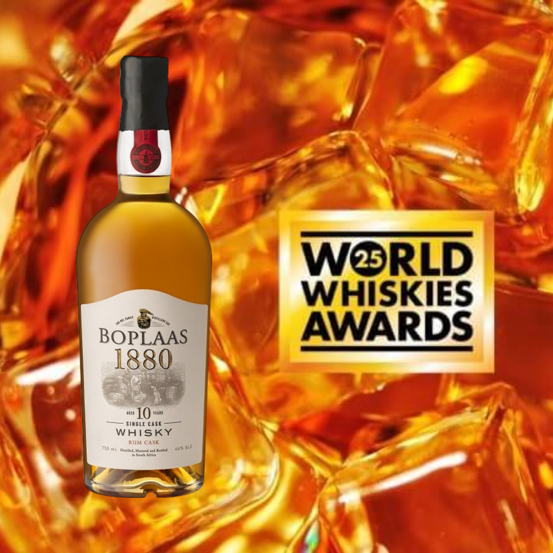 Boplaas Shine at WWA 2025