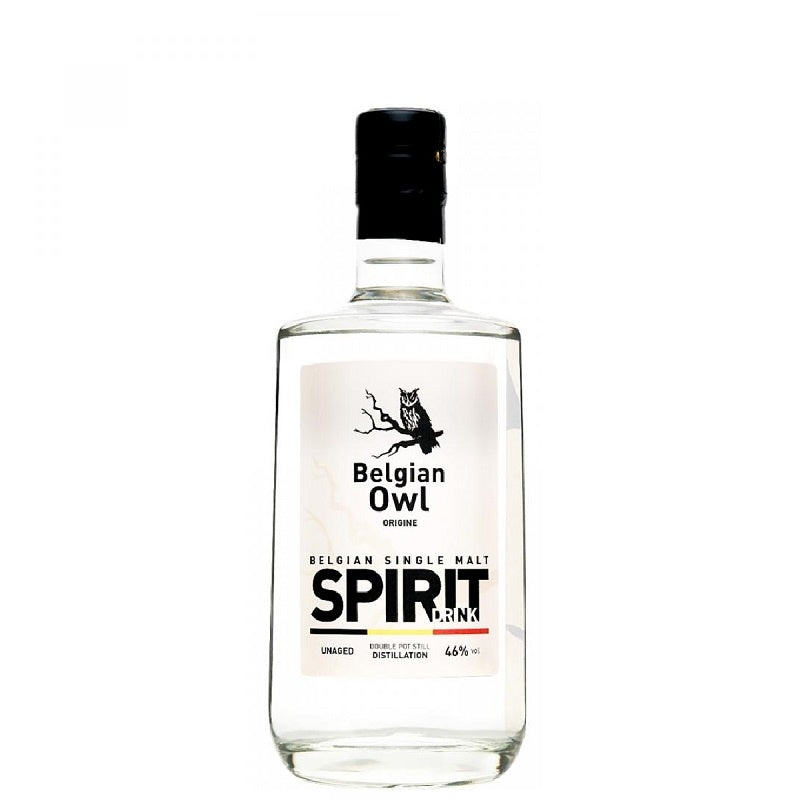 Belgian Owl Origine